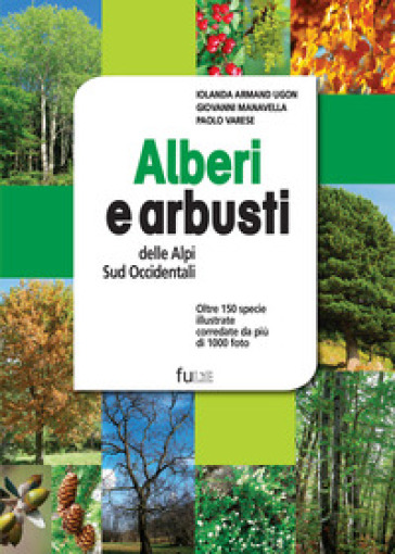 Alberi e arbusti delle Alpi Occidentali. Ediz. a colori