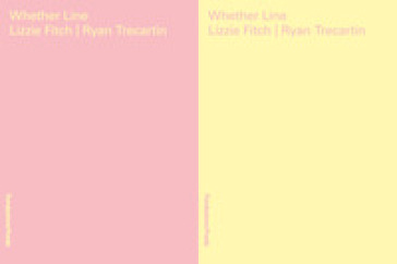 Wheter line. Lizzie Fitch, Ryan Trecartin. Catalogo della mostra (Milano, 6 aprile-5 agosto 2019). Ediz. italiana e inglese
