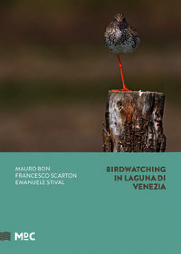 Birdwatching in Laguna di Venezia