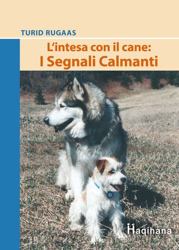 L'intesa con il cane: I Segnali Calmanti