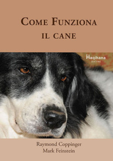 Come Funziona Il Cane-image