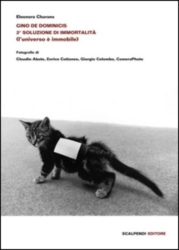 Gino De Dominicis. 2ª soluzione di immortalità (l'universo è immobile). Ediz. illustrata