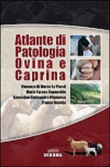 Atlante di patologia ovina e caprina