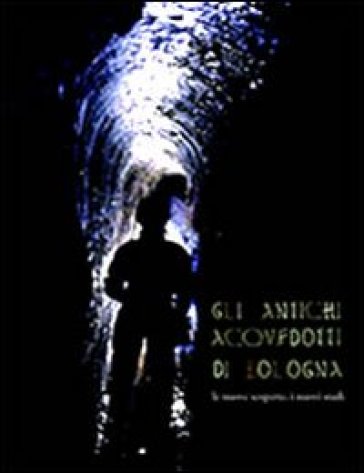 Gli Antichi Acquedotti Di Bologna. I Nuovi Studi, Le Nuove Scoperte
