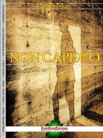 Non capisco