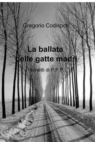 La ballata delle gatte madri