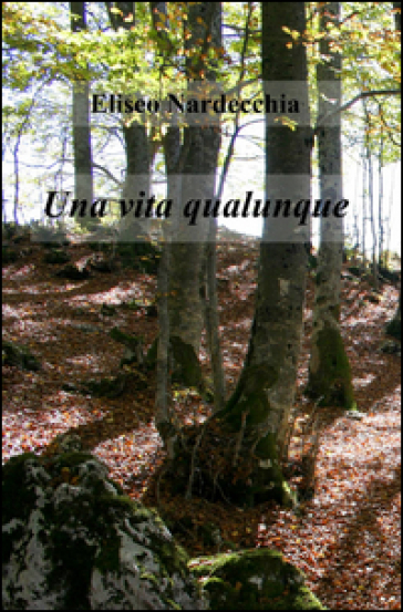 Una Vita Qualunque