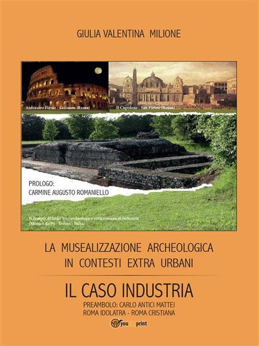 La musealizzazione archeologica in contesti extra urbani: Il caso industria