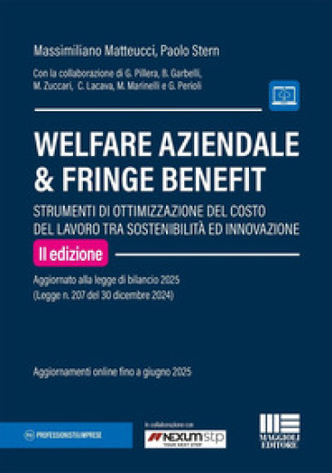 Welfare aziendale &amp; fringe benefit. Strumenti di ottimizzazione del costo del lavoro tra sostenibilità ed innovazione
