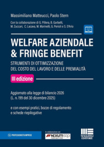 Welfare aziendale & fringe benefit. Strumenti di ottimizzazione del costo del lavoro e delle premialità