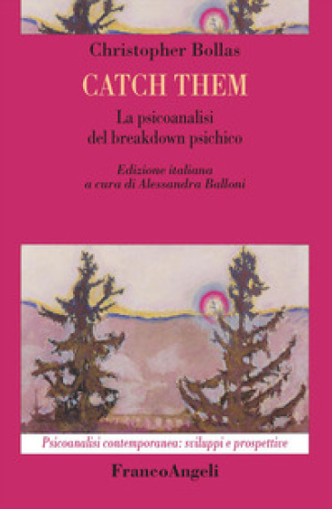 Catch them. La psicoanalisi del breakdown psichico