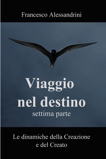 Viaggio nel Destino - settima parte