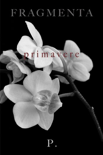 Fragmenta