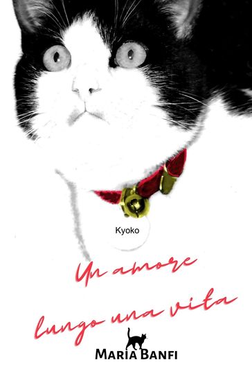 Un amore lungo una vita