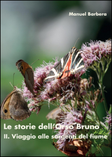 Il viaggio alle sorgenti del fiume. Le storie dell'orso bruno. Vol. 2
