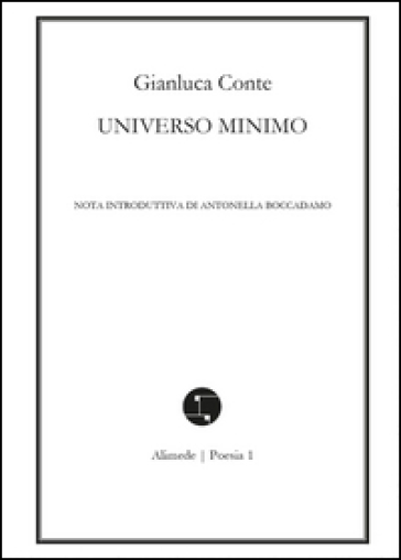Universo minimo