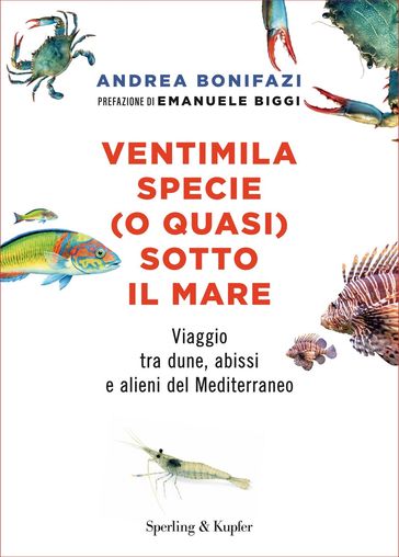 Ventimila specie (o quasi) sotto il mare