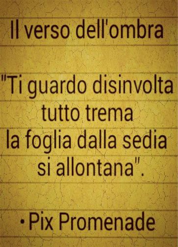 Il verso dell'ombra