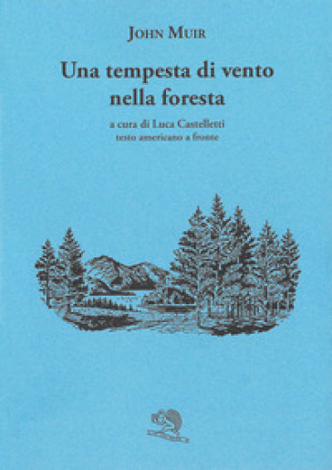 Una tempesta di vento nella foresta. Testo americano a fronte