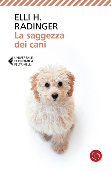 La saggezza dei cani-0