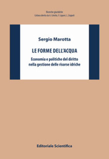 Le forme dell'acqua. Economia e politiche del diritto nella gestione delle risorse idriche