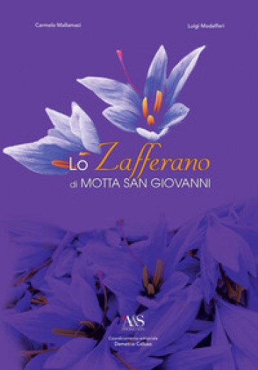 Lo zafferano di Motta San Giovanni