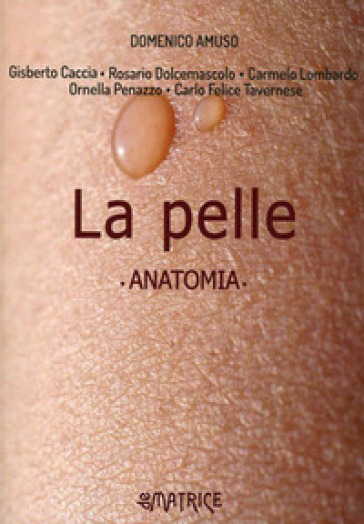 La pelle. Anatomia