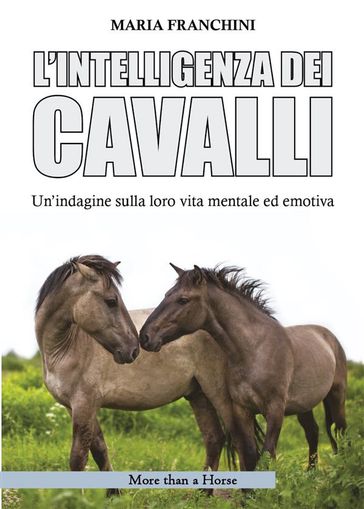 L'intelligenza dei cavalli