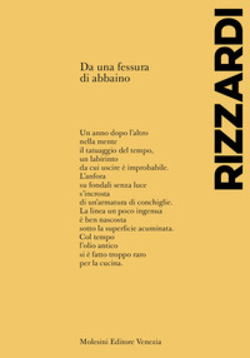 Da una fessura di abbaino