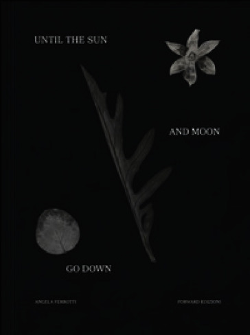 Until the sun and moon go down. Ediz. illustrata