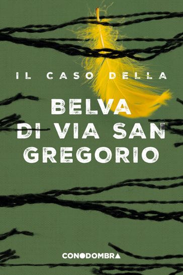 Il caso della Belva di via San Gregorio