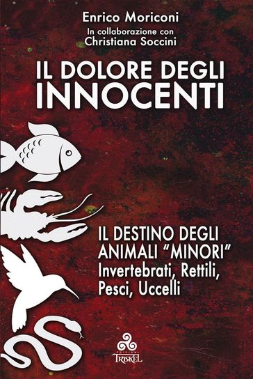 Il dolore degli Innocenti