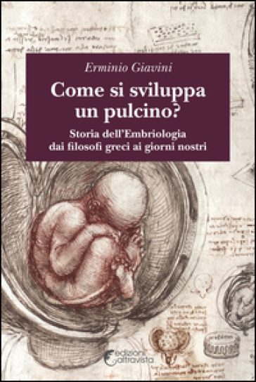 Come si sviluppa un pulcino? Storia dell'embriologia dai filosofi greci ai giorni nostri