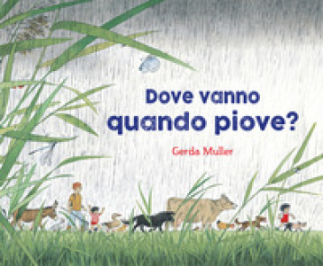 Dove vanno quando piove? Ediz. illustrata