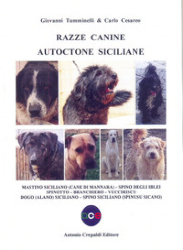 Razze canine autoctone siciliane. Mastino siciliano (Cane di Mannara). Spino degli Iblei. Spinotto. Branchiero. Vucciriscu. Dogo (Alano) Siciliano. Sp