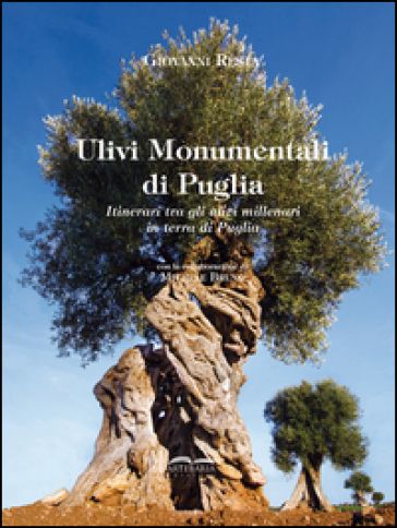 Ulivi monumentali di Puglia. Itinerari tra gli ulivi millenari in terra di Puglia. Ediz. a colori