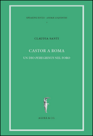 Castor a Roma. Un Dio Pereginus nel foro