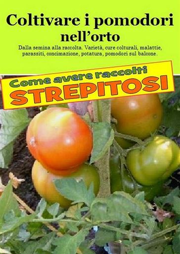 Coltivare i pomodori nell'orto. Come avere raccolti strepitosi