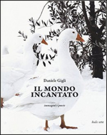 Il mondo incantato. Immagini e poesie. Ediz. illustrata