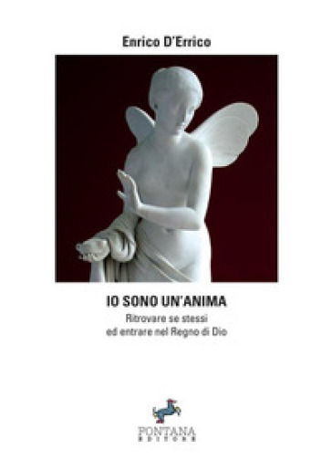 Io sono un'anima. Ritrovare se stessi ed entrare nel regno di dio