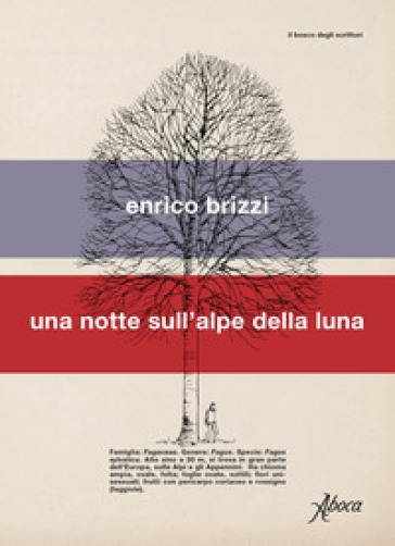 Una Notte Sull'alpe Della Luna