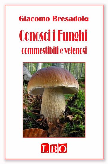 Conosci i Funghi commestibili e velenosi