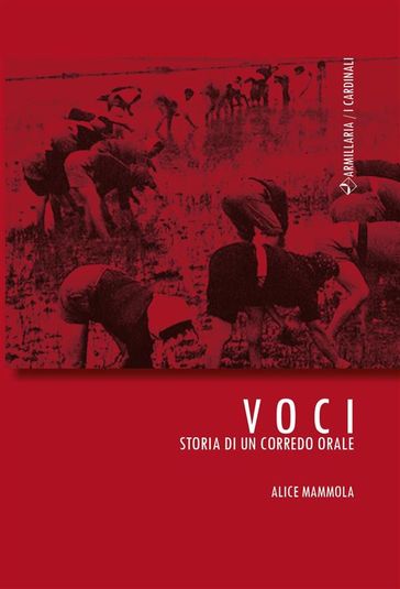 Voci