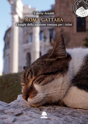 Roma gattara