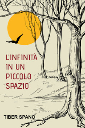 L'infinità in un piccolo spazio