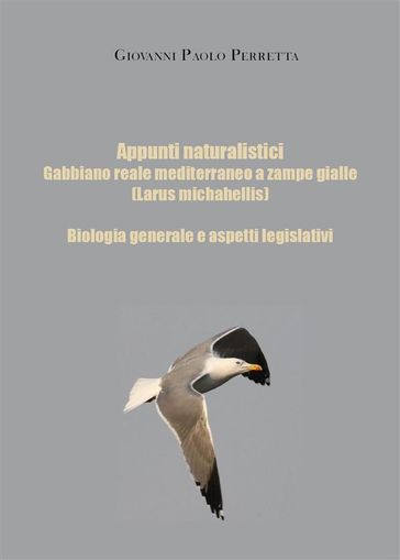 Appunti naturalistici - Gabbiano reale mediterraneo a zampe gialle (Larus michahellis)