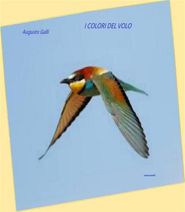 I colori del volo