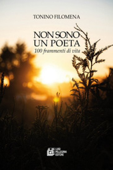 Non sono un poeta. 100 frammenti di vita-0
