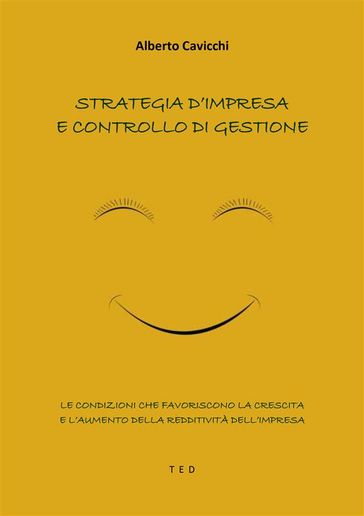 Strategia d'impresa e controllo di gestione