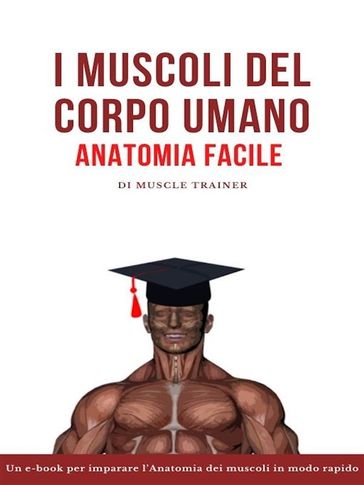 I Muscoli del Corpo Umano  Anatomia Facile